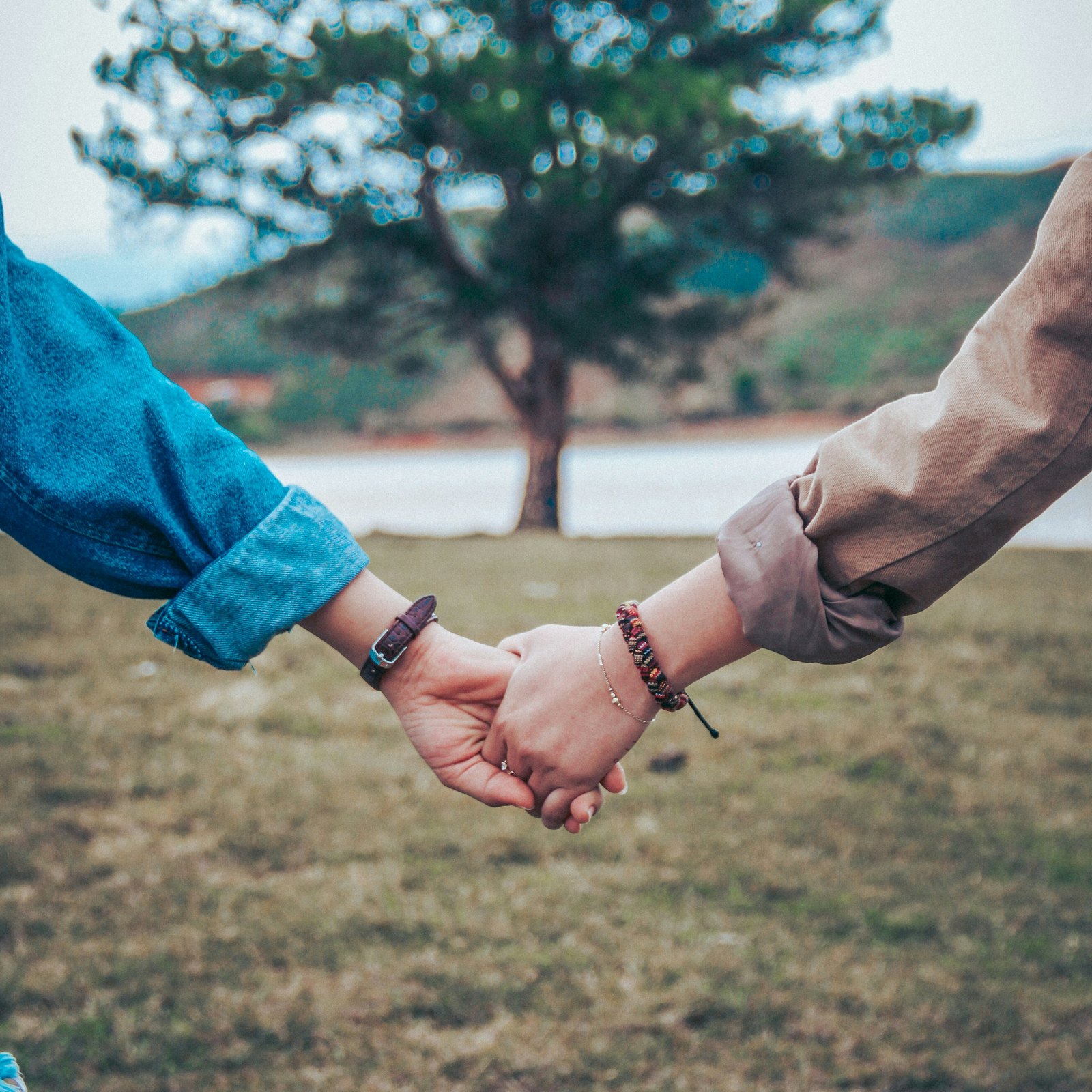 Two people holding hands in front of a tree
